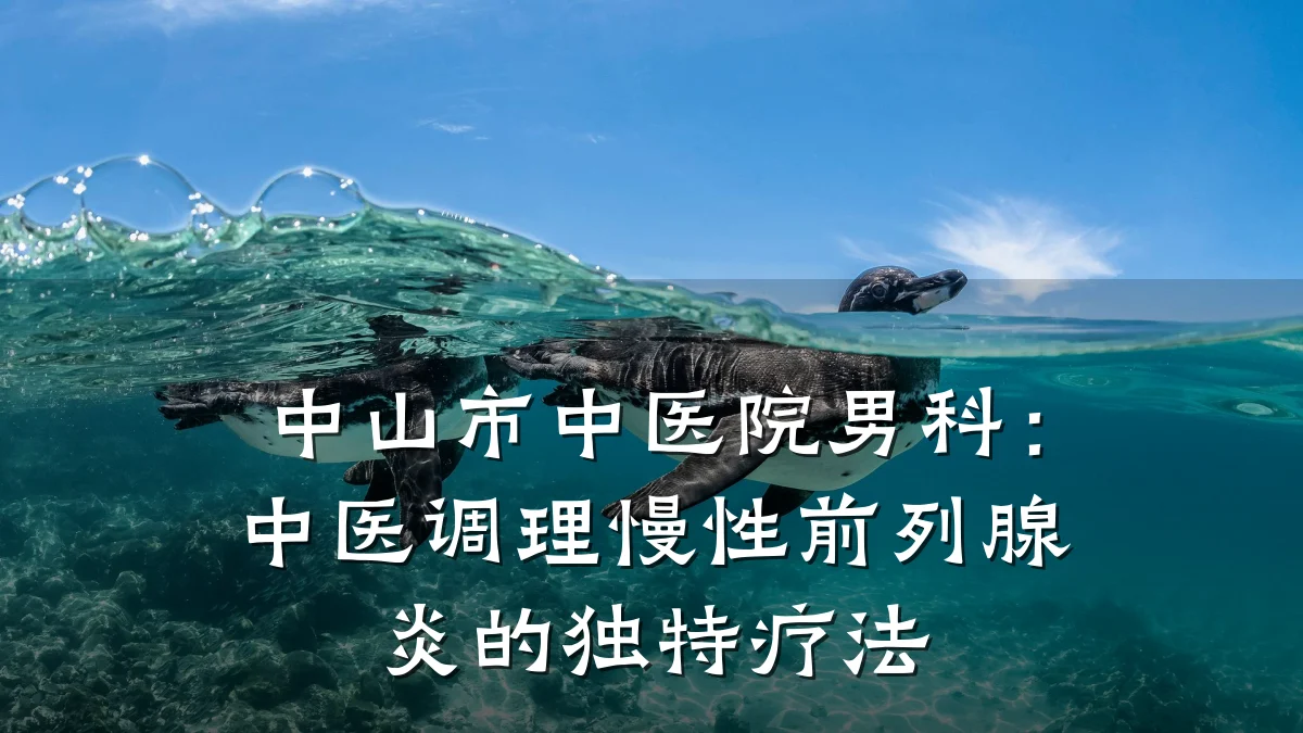 中山市中医院男科:中医调理慢性前列腺炎的独特疗法