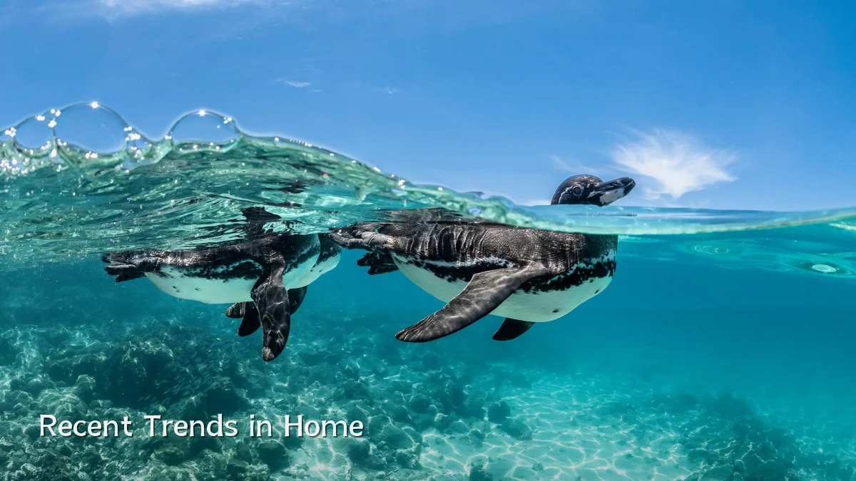 Recent Trends in Home