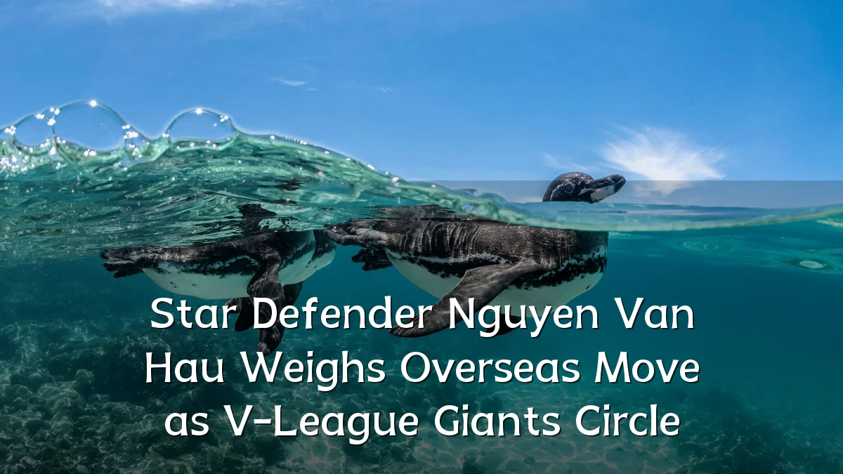 Star Defender Nguyen Van Hau Weighs Overseas Move as V-League Giants Circle
