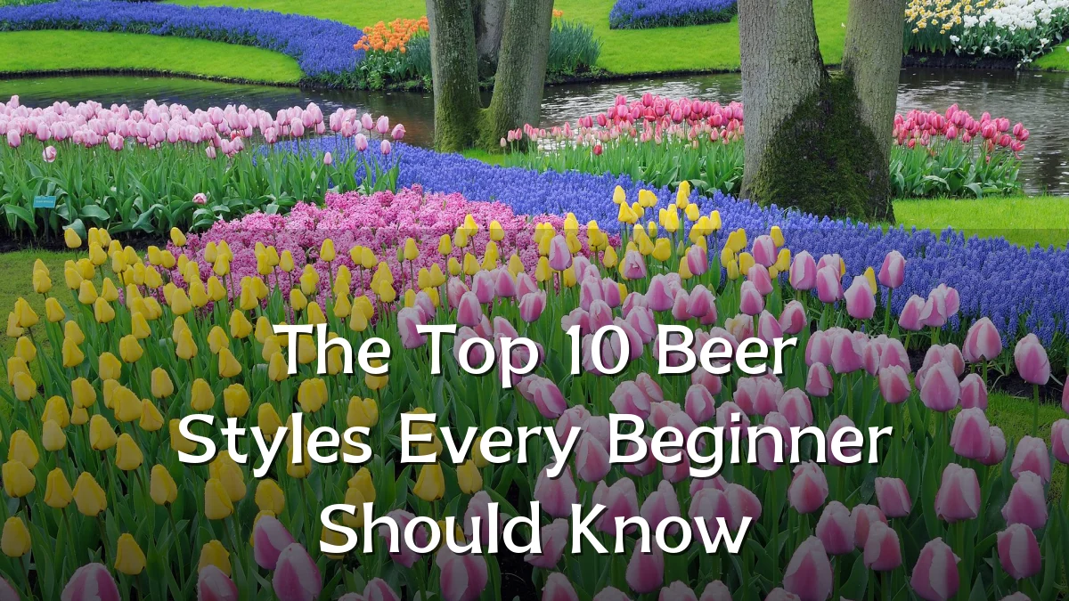 The Top 10 Beer Styles Every Beginner Should Know
